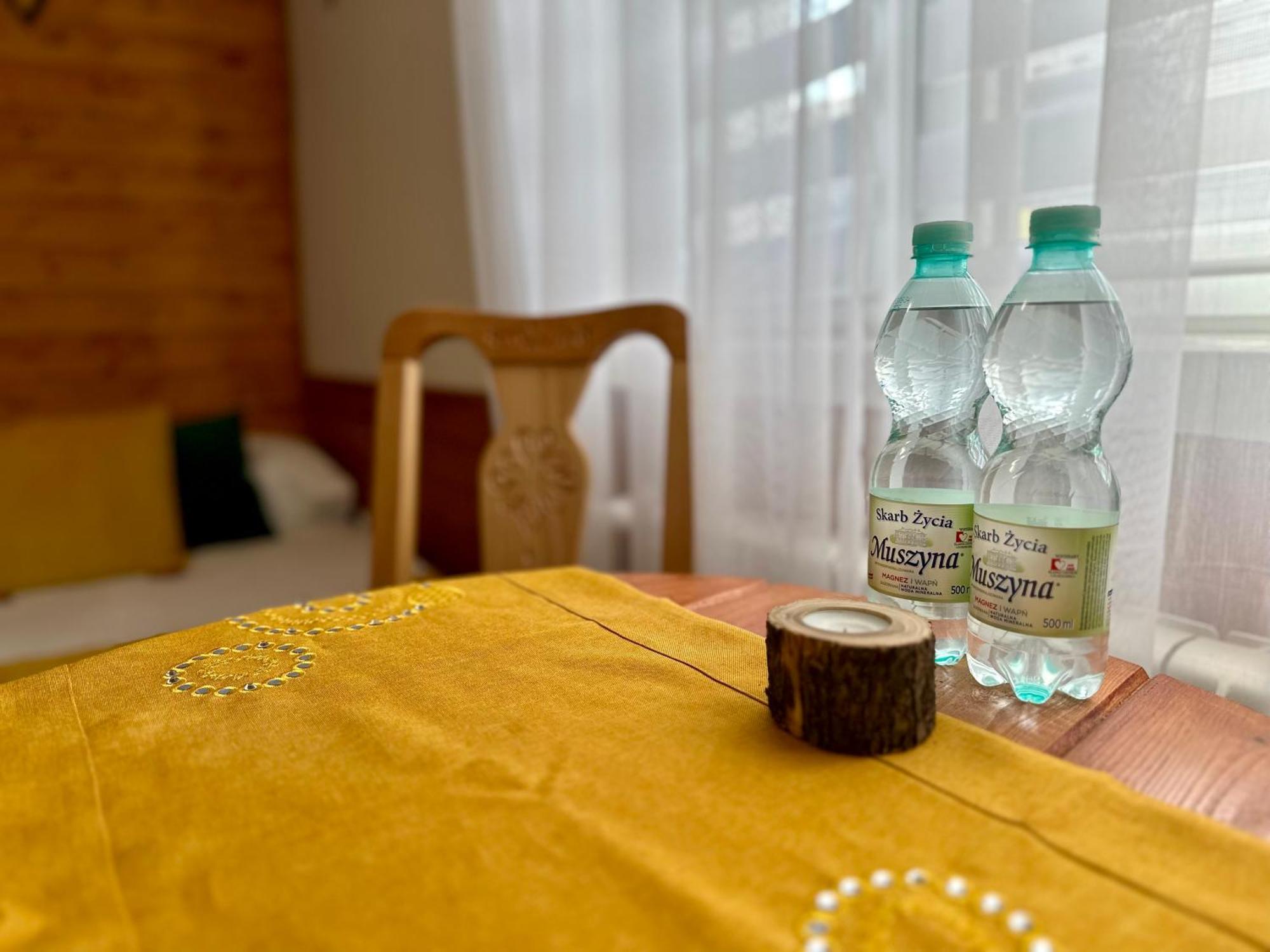 Gorska Ostoja Appartement Muszyna Buitenkant foto